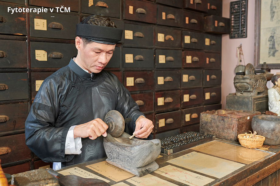 Fytoterapie v TČM Fytoterapie v TČM